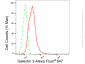KD-Validated Anti-Galectin 3 Rabbit Monoclonal Antibody